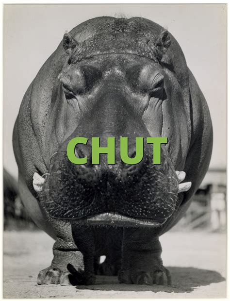 Chut Definition & Meaning